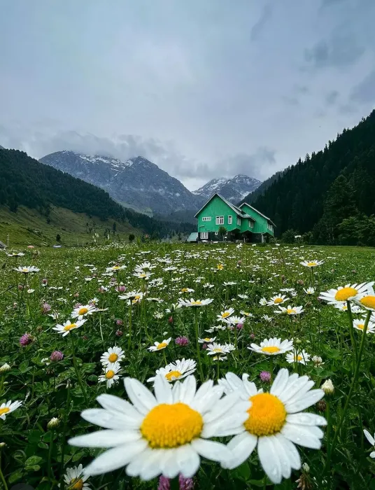 Pahalgam attractions, valley and river
